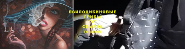 первитин Бородино