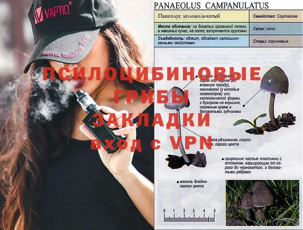первитин Бородино