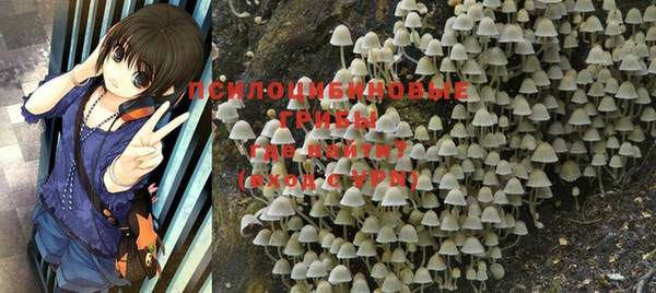 первитин Бородино
